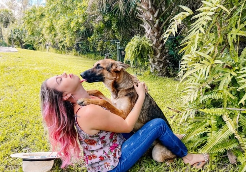 Reclaiming a Lost Pet from a Shelter in Lee County, Florida: A Step-by-Step Guide
